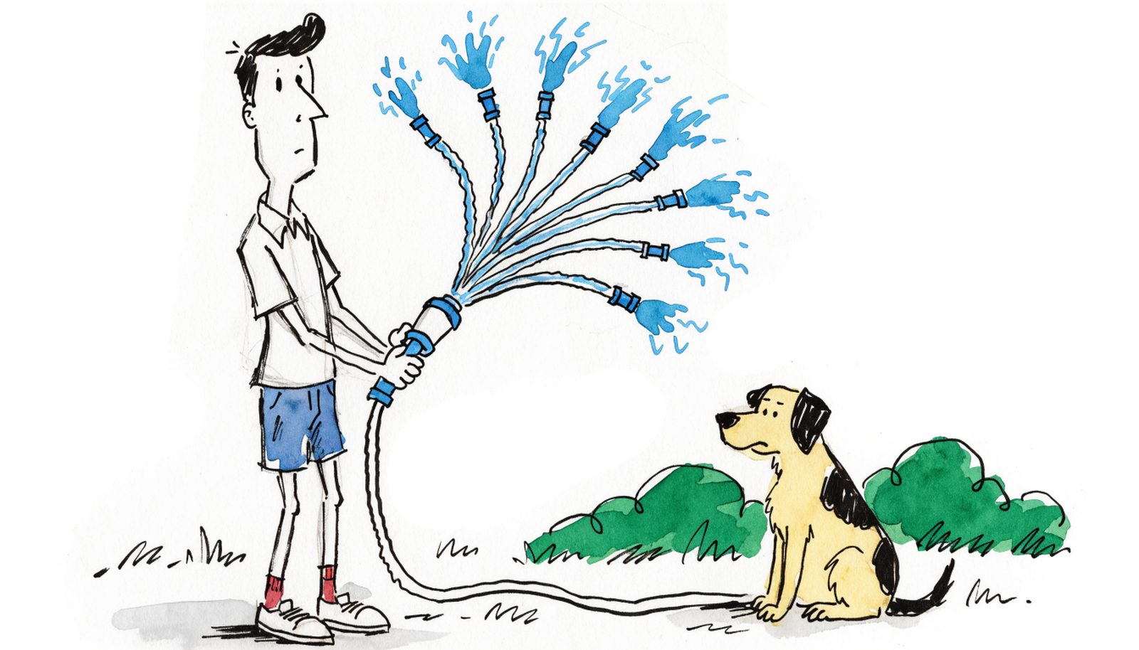 A man holding one garden hose that splits into a dozen hoses all spraying at once, watched by an unimpressed dog