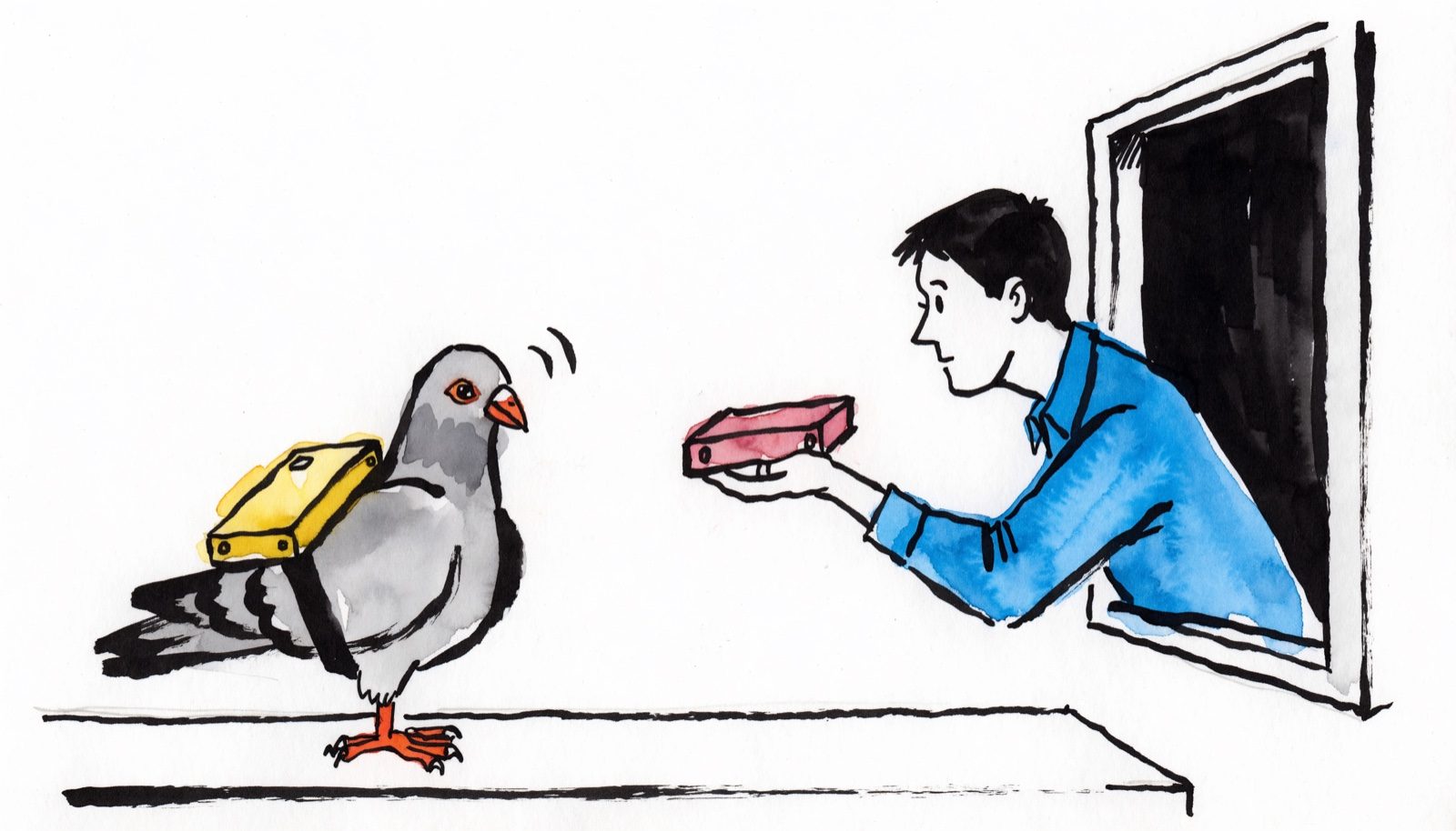 A put-upon carrier pigeon with a hard drive strapped to its back, and a man at a window offering it a second one